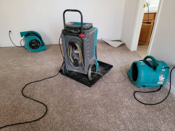 Best Sewage cleanup and water damage restoration  in El Campo, TX