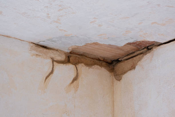 El Campo, TX Water damage restoration Company
