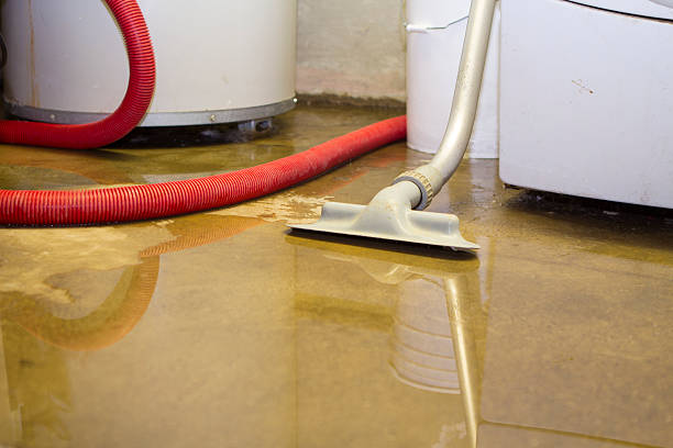 Best 24/7 water damage repair  in El Campo, TX
