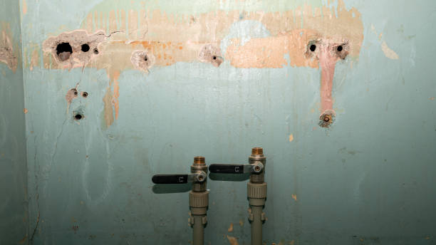 Carpet water damage restoration in El Campo, TX