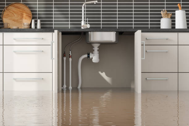 Best Water damage cleanup near me  in El Campo, TX