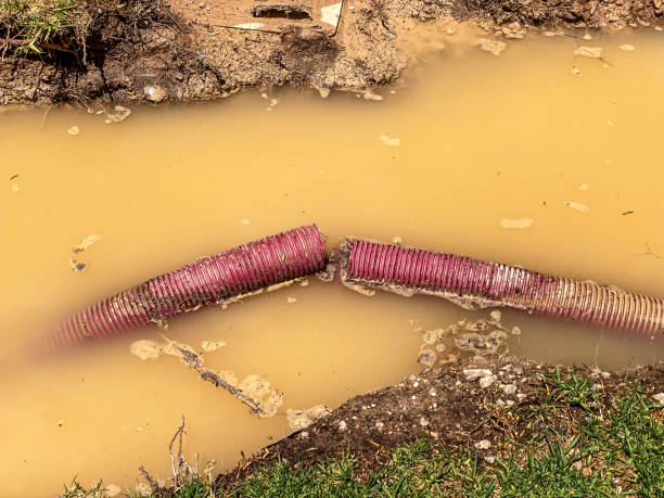 Best 24-hour water damage restoration  in El Campo, TX